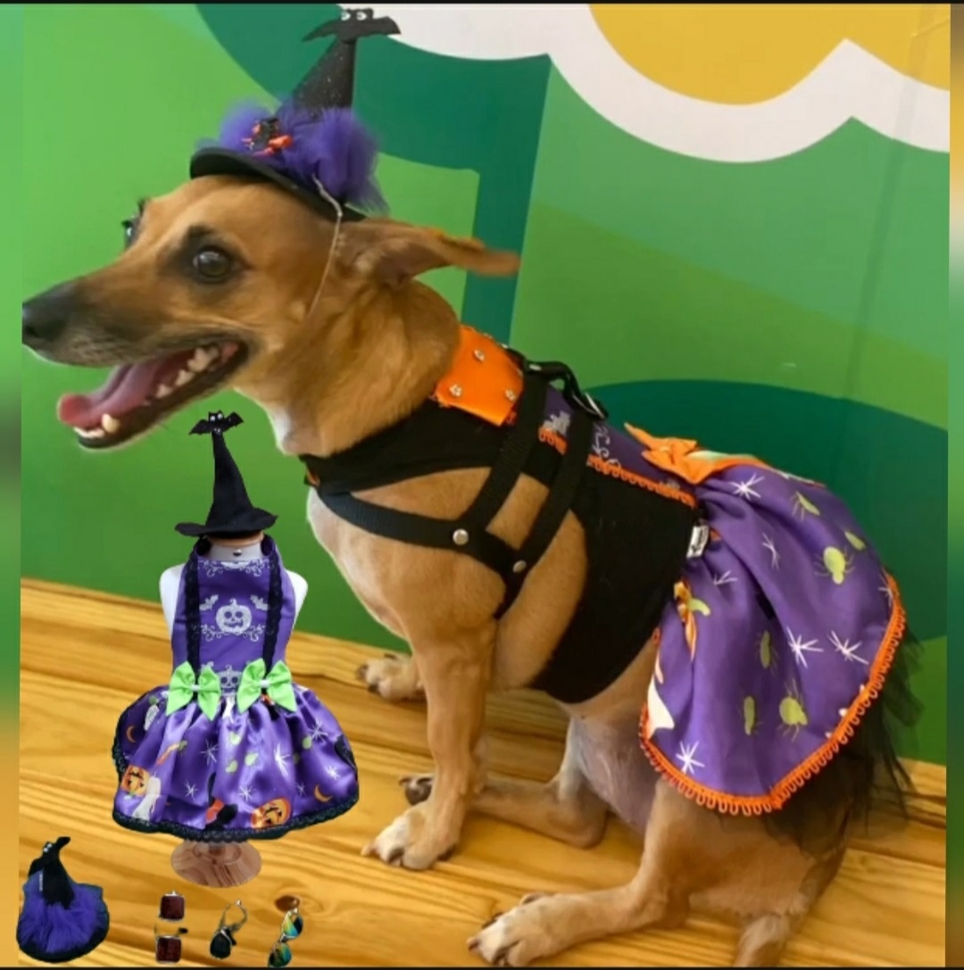 Você está visualizando atualmente Pets ganham cada vez mais espaço no Halloween com fantasias personalizadas