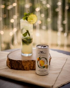 Leia mais sobre o artigo Casa Madeira ensina drink leve e saboroso para curtir o verão