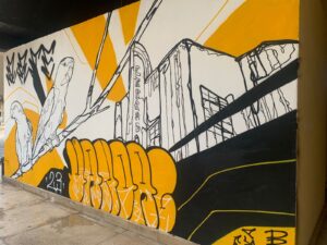Leia mais sobre o artigo <em>Vila Cultural Cora Coralina ganha novo mural de grafite</em>