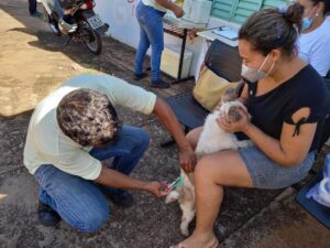 Leia mais sobre o artigo <em>Governo de Goiás convoca população para vacinar cães e gatos contra raiva</em>