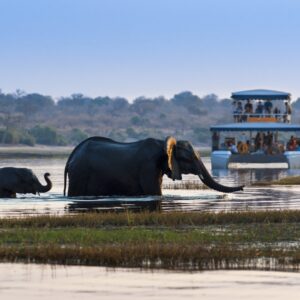 Leia mais sobre o artigo Experiência Indescritível as Margens do  Rio Chobe