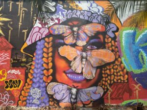 Leia mais sobre o artigo <em>Grafites transformam o visual do Centro Cultural Martim Cererê</em>