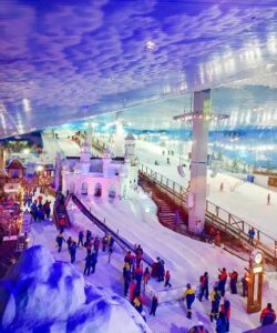 Leia mais sobre o artigo Snowland bate recorde de meio milhão de visitantes em 2023