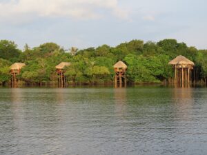Leia mais sobre o artigo Ecolodge oferece experiência de luxo na Floresta Amazônica