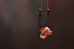 Leia mais sobre o artigo <em>Circo Basileu França apresenta espetáculo em Goiânia</em>