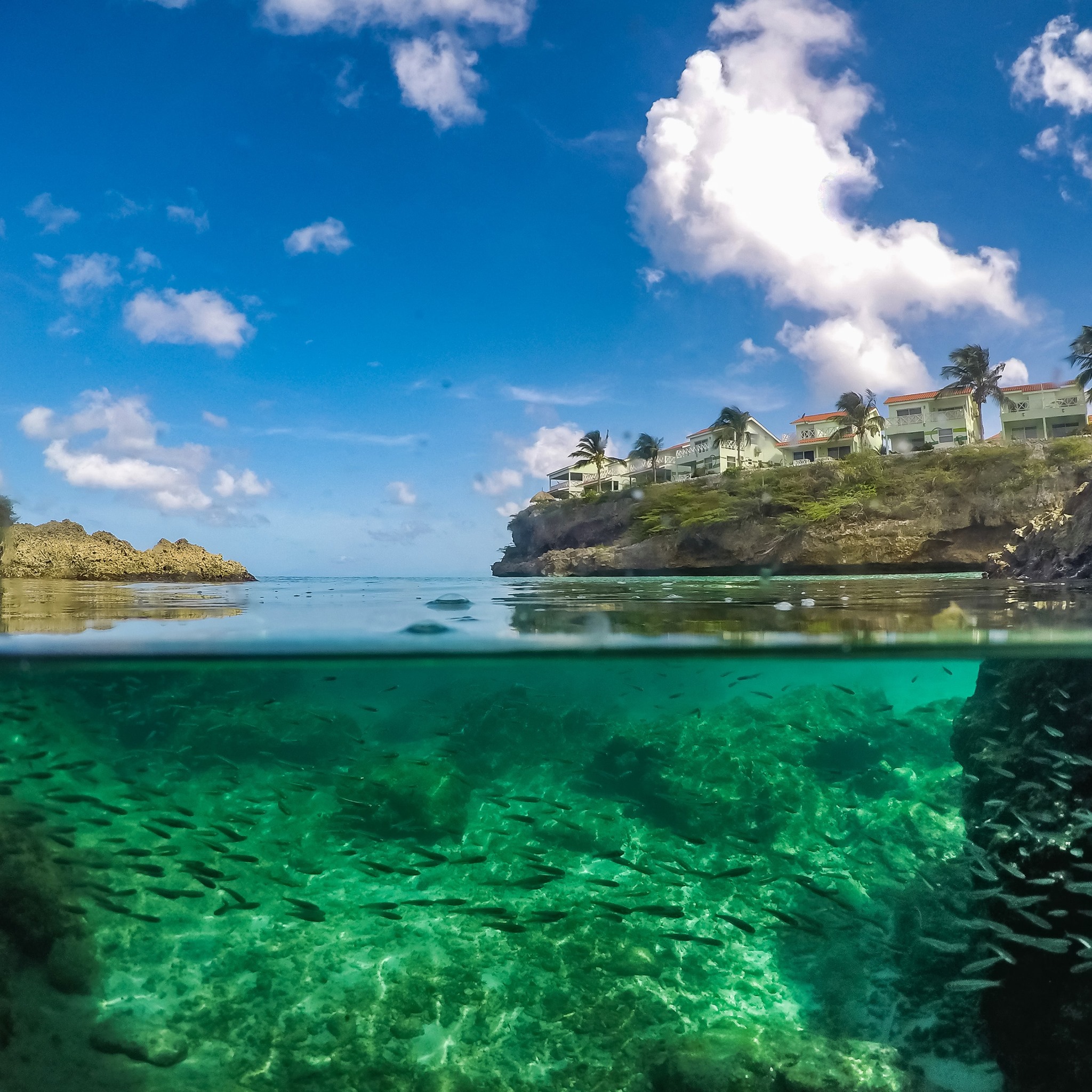 Você está visualizando atualmente 6 motivos para ir a Curaçao com tarifa especial da Copa Airlines