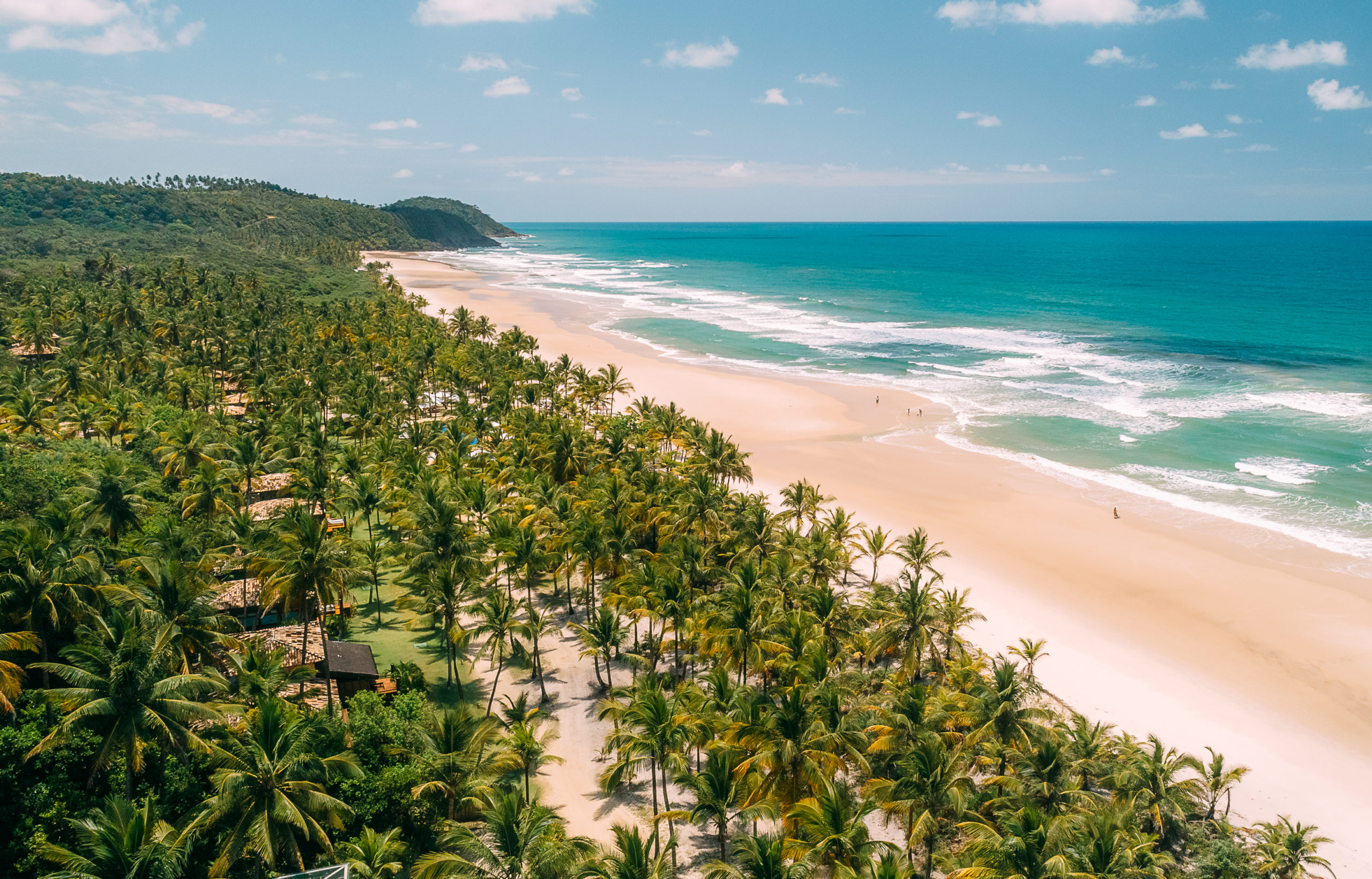 Você está visualizando atualmente Txai Resort Itacaré oferece vista privilegiada para observar baleias jubarte no sul da Bahia