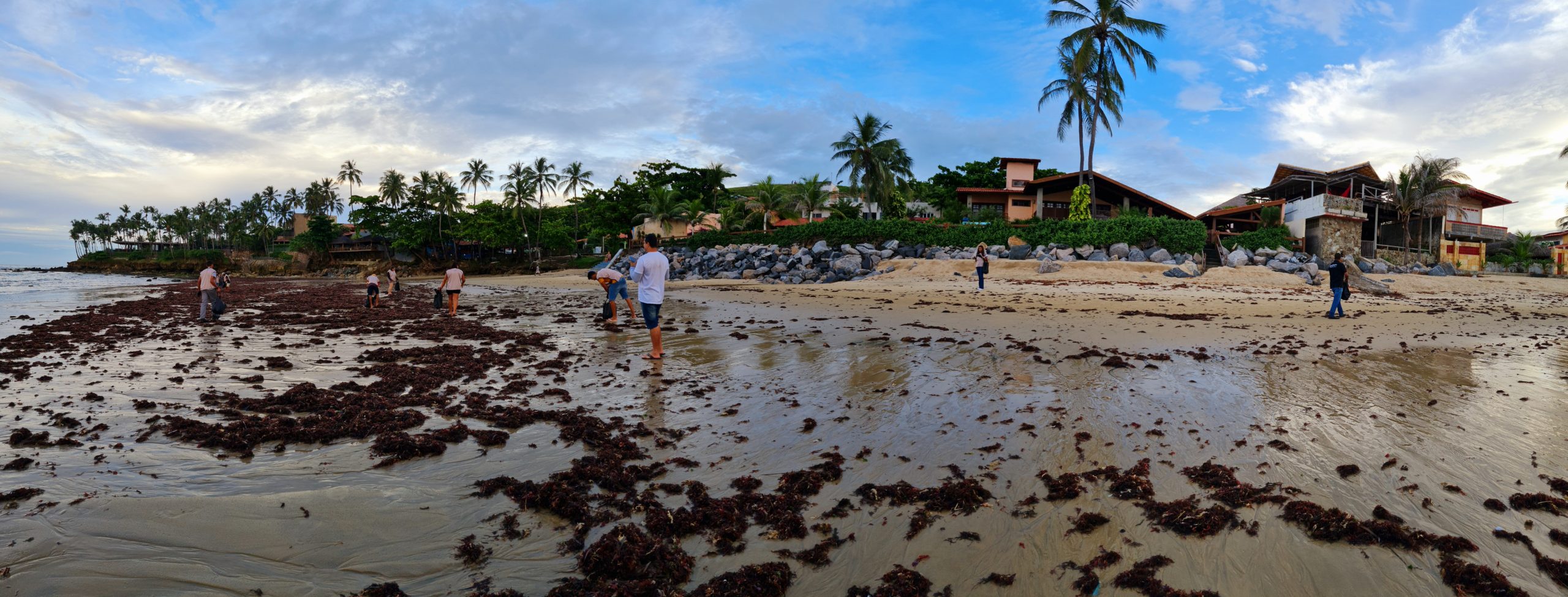 Você está visualizando atualmente Rede Carmel Hotéis promove limpeza de praias cearenses em celebração ao World Cleanup Day