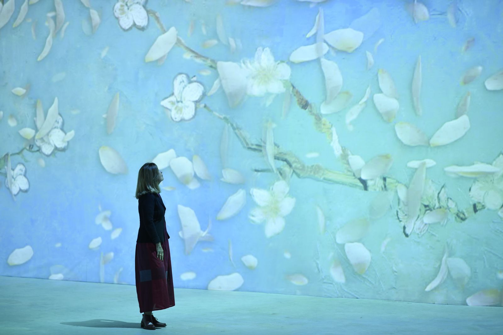 No momento, você está visualizando Van Gogh Live 8k