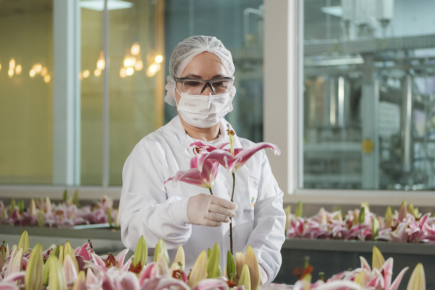 Você está visualizando atualmente Produtos florais para comemorar o Dia da Flor