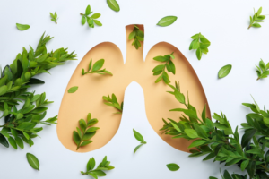 Leia mais sobre o artigo DPOC: Entenda o que é doença pulmonar obstrutiva e quando suspeitar dos sintomas