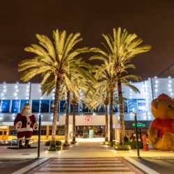 Natal Flamboyant será aberto ao público no dia 6/11 com a chegada do Papai Noel