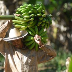 Agricultura familiar será isenta da contribuição para Fundo de Infraestrutura