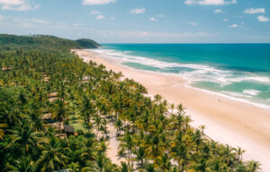Leia mais sobre o artigo Txai Resort Itacaré apresenta programação para férias de verão 2023