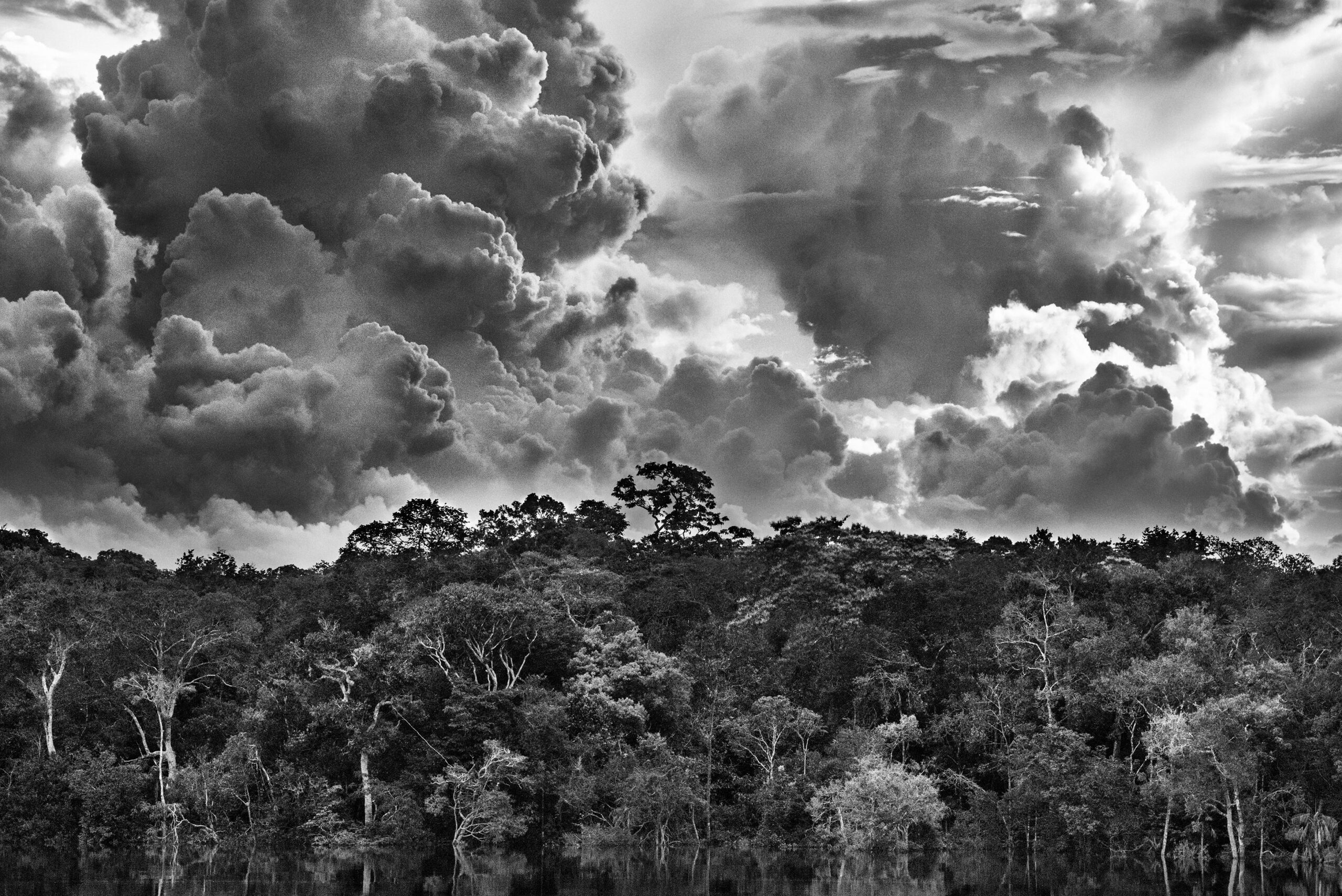 No momento, você está visualizando Exposição “Amazônia”, de Sebastião Salgado, fica em cartaz até o fim de janeiro, no Museu do Amanhã