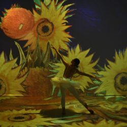 Exposição imersiva Van Gogh Live 8K se despede de Goiânia