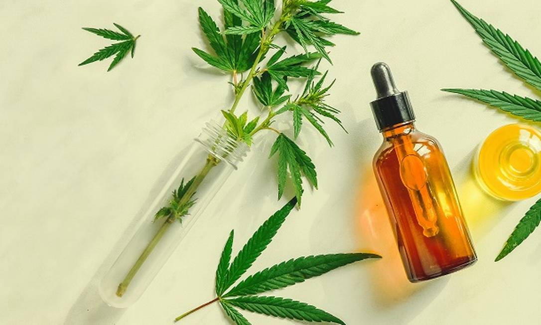 No momento, você está visualizando Empresa americana ganha maior licitação de canabidiol do Brasil