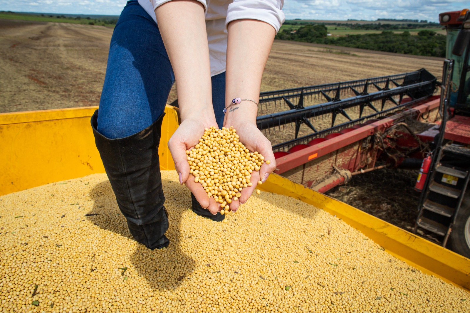 Você está visualizando atualmente Goiás deve aumentar produção de grãos na safra 2022/2023 e chegar a 31,5 milhões de toneladas