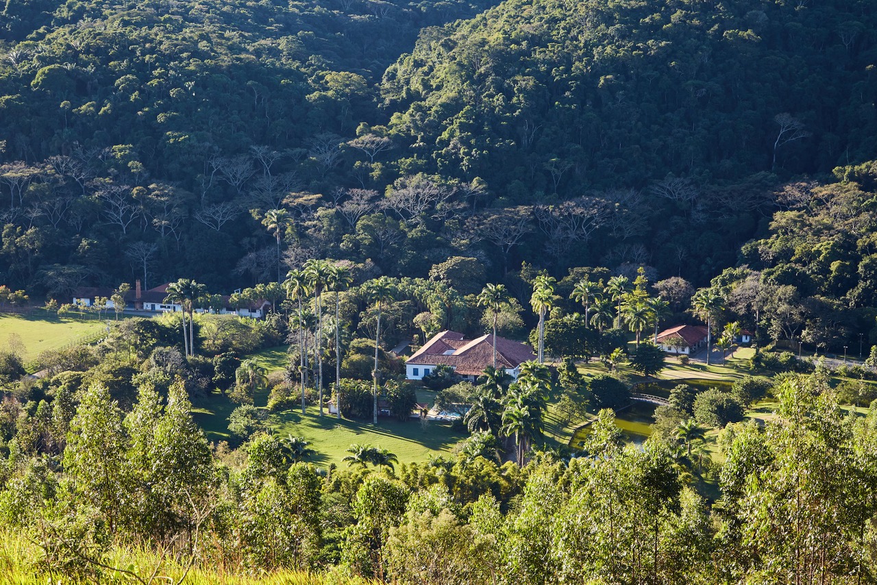 Você está visualizando atualmente Refúgio ecológico para hospedagem: agricultura sintrópica, circuito das artes e visita a alambique centenário