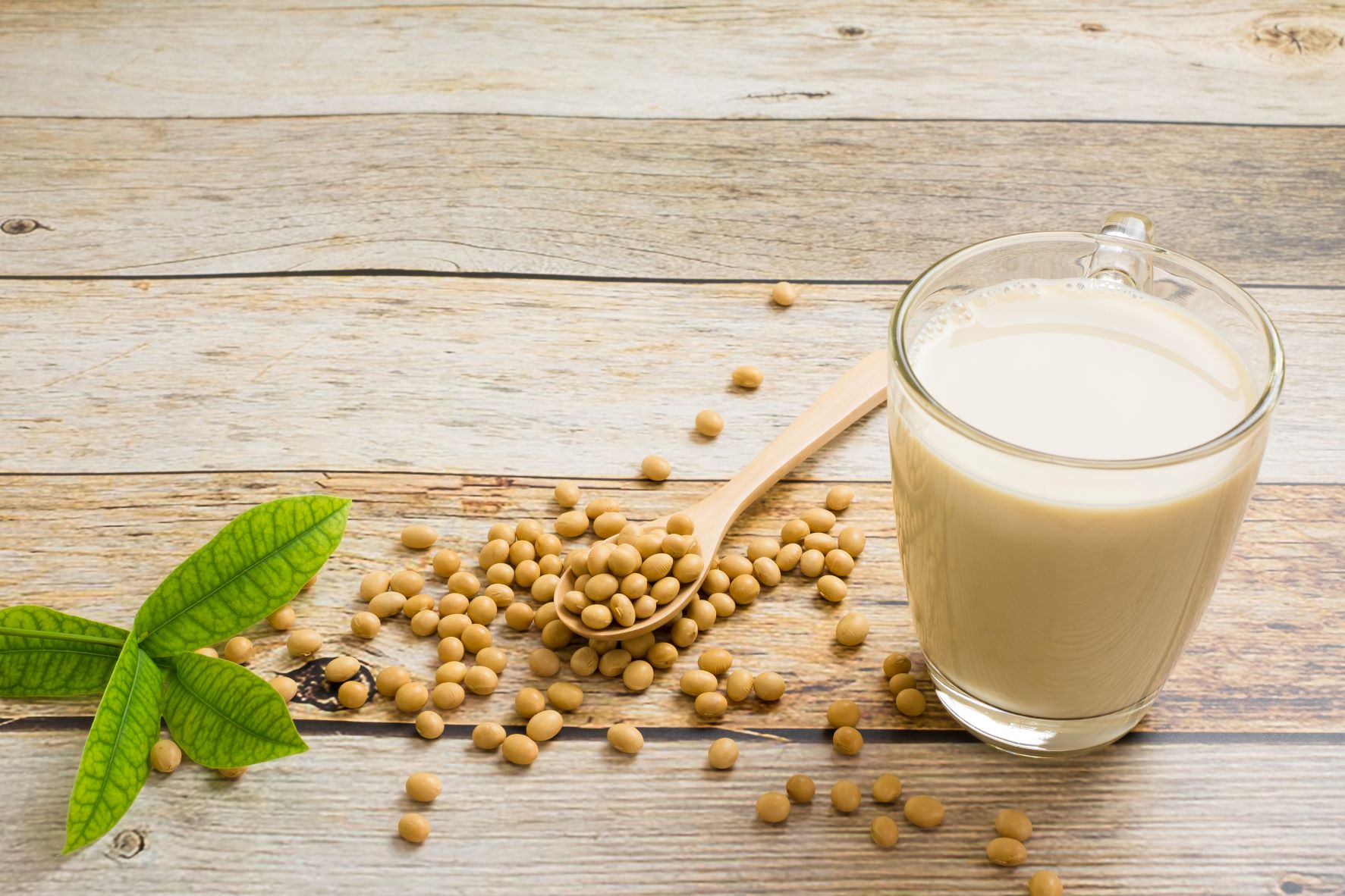 Você está visualizando atualmente 6 mitos e verdades sobre a proteína isolada da soja