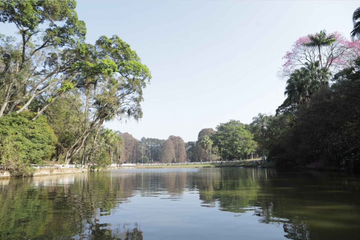 No momento, você está visualizando Urbia realiza visitas guiadas gratuitas para comemorar o Dia Mundial da Água nos Parques Horto Florestal e Cantareira