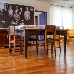 Museu Casa de Portinari realiza brincadeiras e palhaçaria em praça de Brodowski (SP)