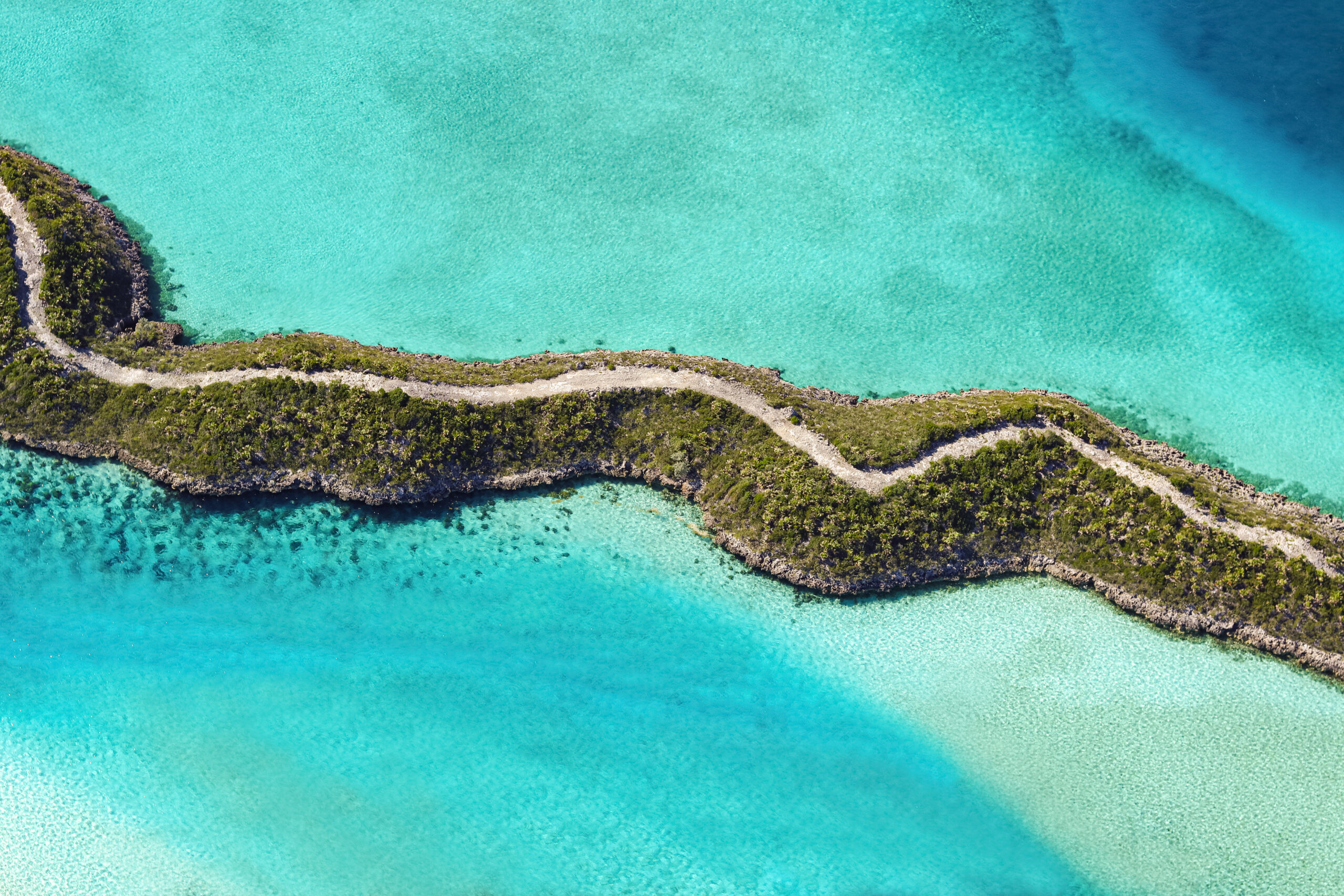 No momento, você está visualizando Bahamas sempre repleto de novidades!