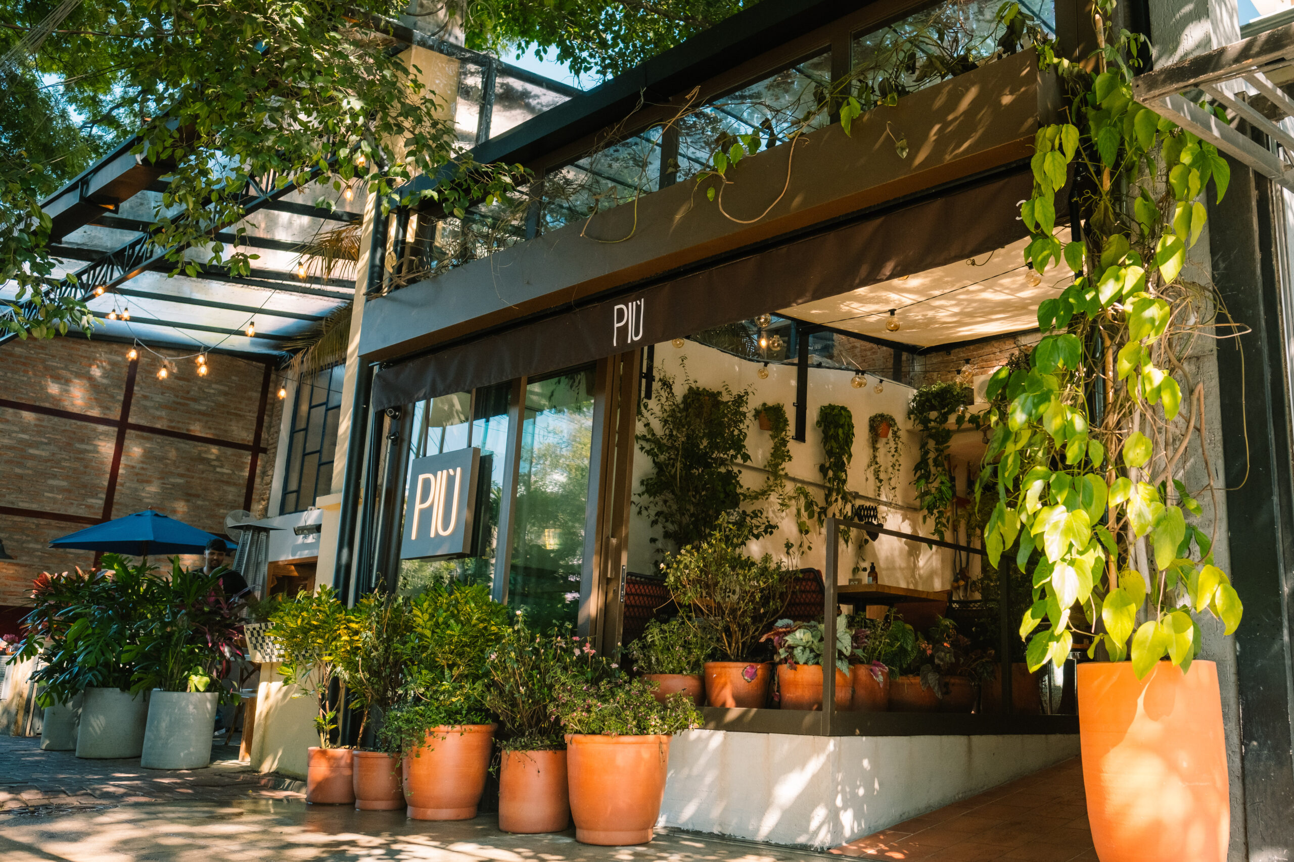 No momento, você está visualizando <strong>Paisagista João Queiroz se inspira em jardins italianos para o novo ambiente do restaurante italiano PIÙ</strong>