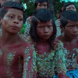 Longa ‘A Flor do Buriti’ realizará sua première brasileira no Fica