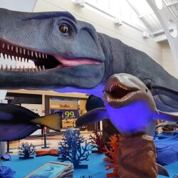 Aparecida Shopping recebe exposição Gigantes dos Oceanos