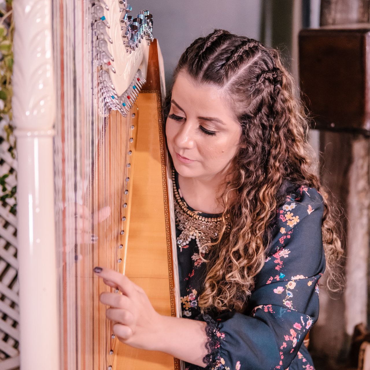 No momento, você está visualizando <strong>Mostra Cultural do Cerrado </strong><strong>c</strong><strong>elebra a </strong><strong>d</strong><strong>iversidade </strong><strong>m</strong><strong>usical </strong><strong>unindo Jazz, forró e baião em uma única noite</strong>