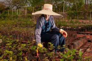 Leia mais sobre o artigo <em>Formosa lidera criação de empregos no agro entre municípios brasileiros no mês de abril</em>