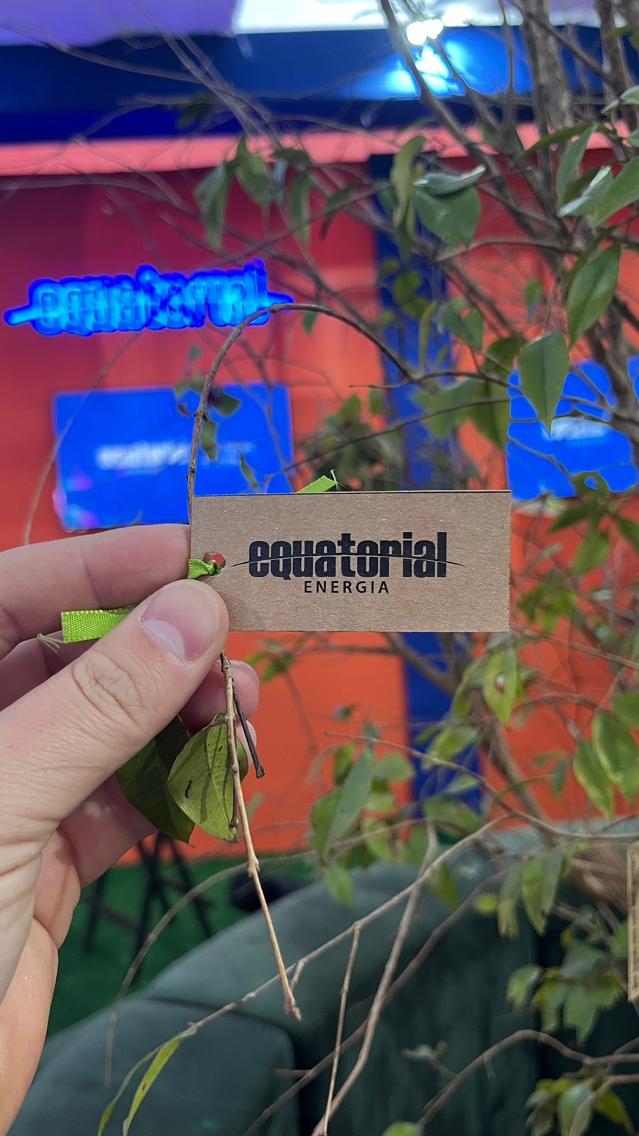 No momento, você está visualizando Equatorial Goiás planta “Árvore de Energias Positivas” no Deu Praia 