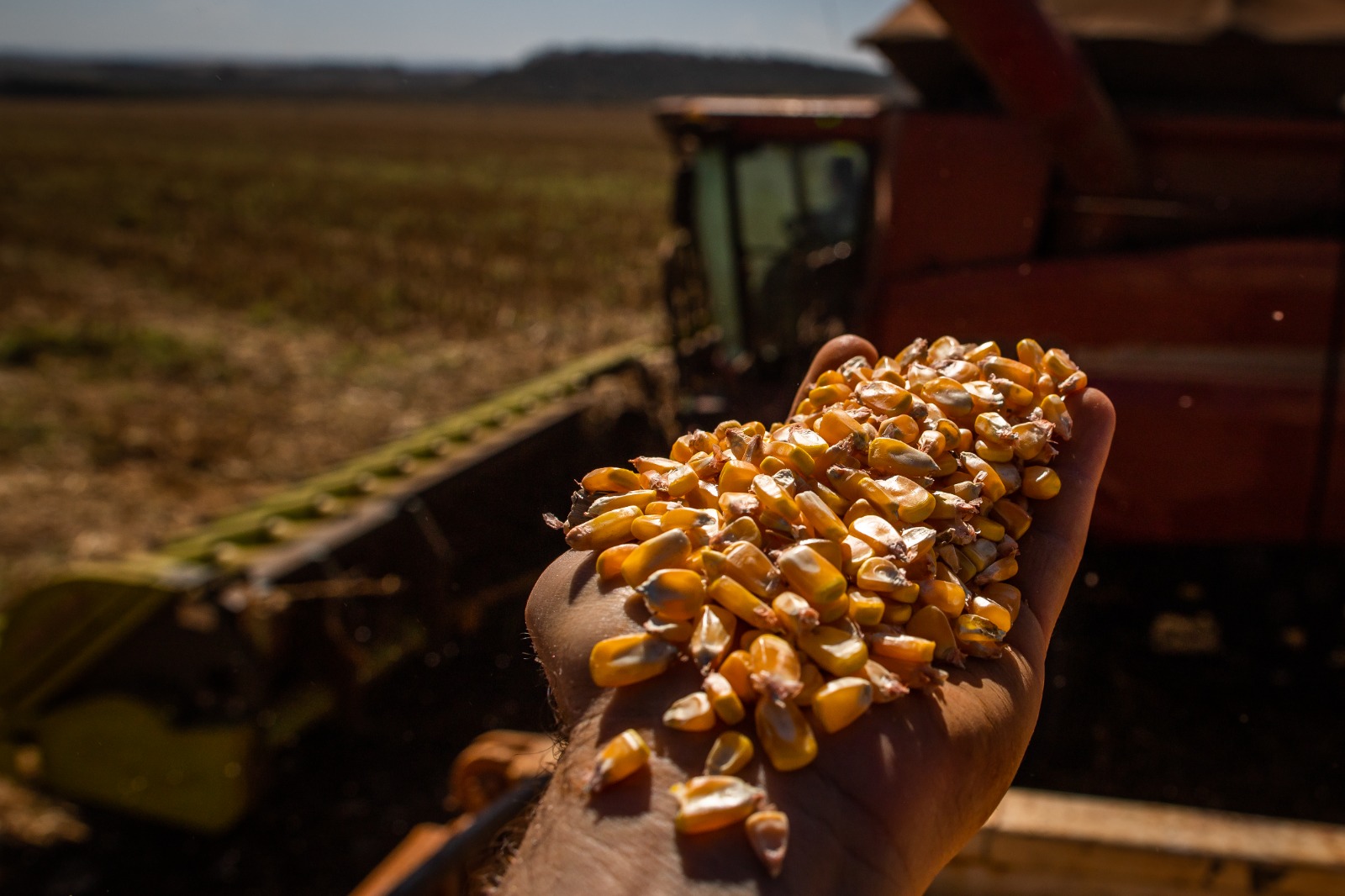 Você está visualizando atualmente <em>Goiás bate recorde na produção de grãos na safra 2022/2023</em>