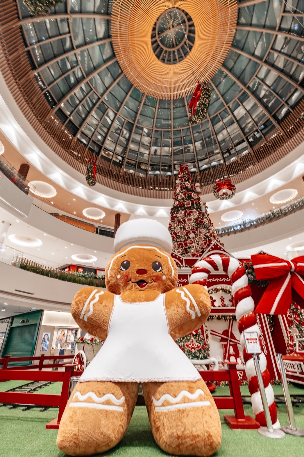 No momento, você está visualizando Flamboyant Shopping anuncia novas atrações para o Natal