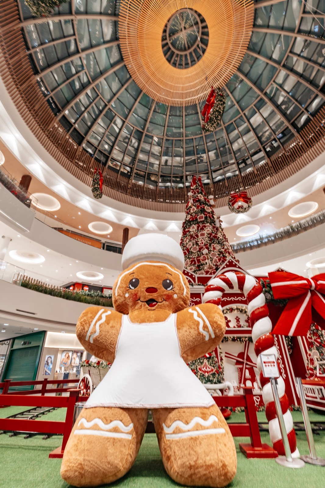 Você está visualizando atualmente Flamboyant Shopping anuncia novas atrações para o Natal