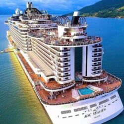 Programa de Cruzeiro Futuro MSC