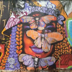 Grafites transformam o visual do Centro Cultural Martim Cererê