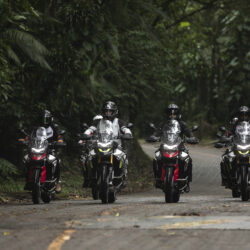Família Tiger: Triumph anuncia vantagens especiais para compra da linha adventure