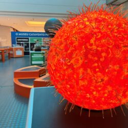 Flamboyant Shopping recebe exposição do Museu Catavento