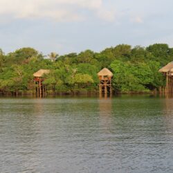 Ecolodge oferece experiência de luxo na Floresta Amazônica