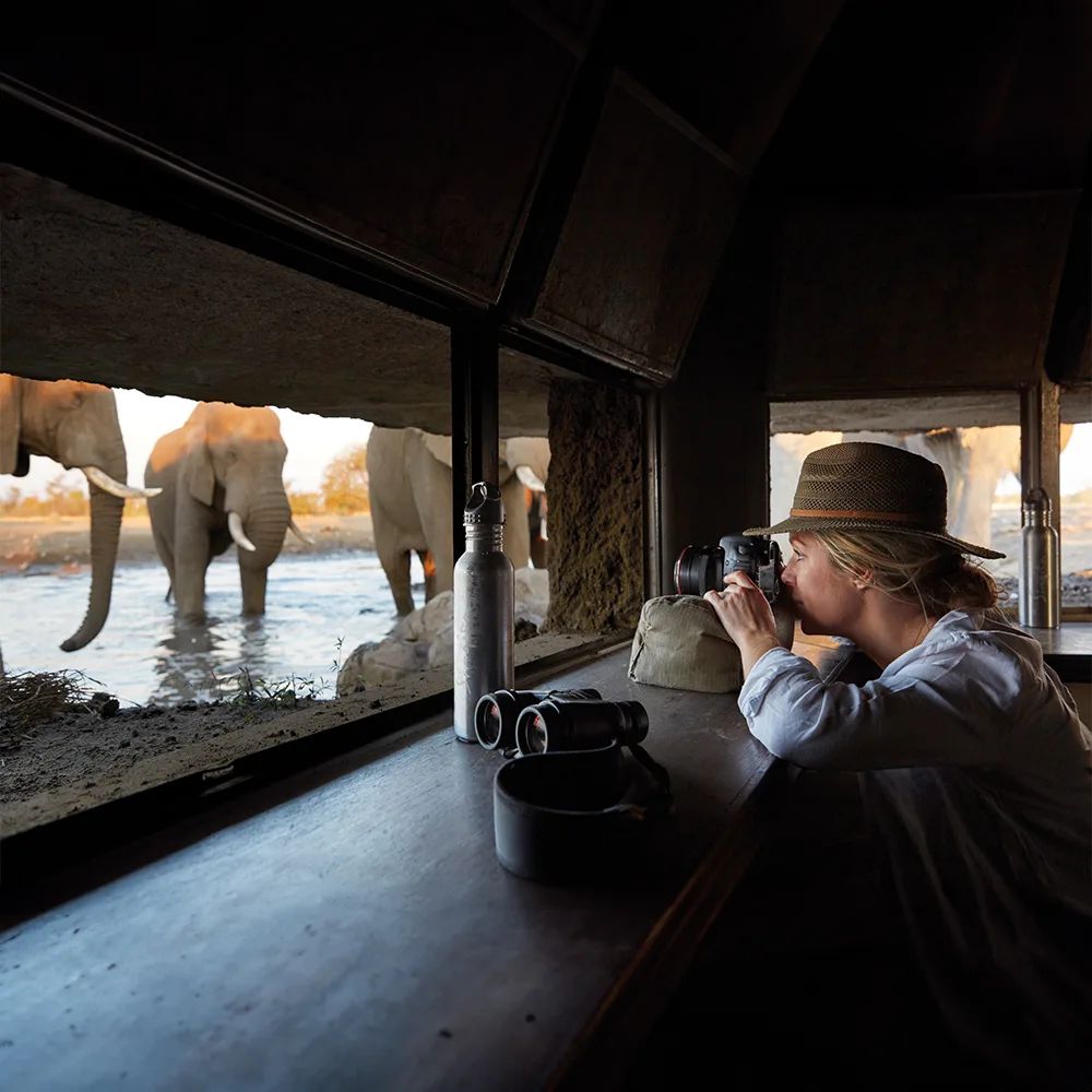 Você está visualizando atualmente Curta a Experiência de um Hide Safari