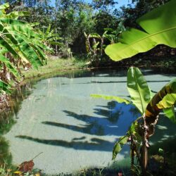 Novo safári explora a natureza intocada das Serras Gerais, no Tocantins