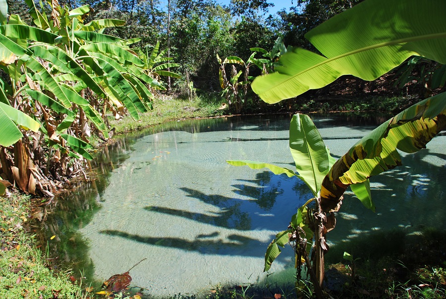 Você está visualizando atualmente Novo safári explora a natureza intocada das Serras Gerais, no Tocantins