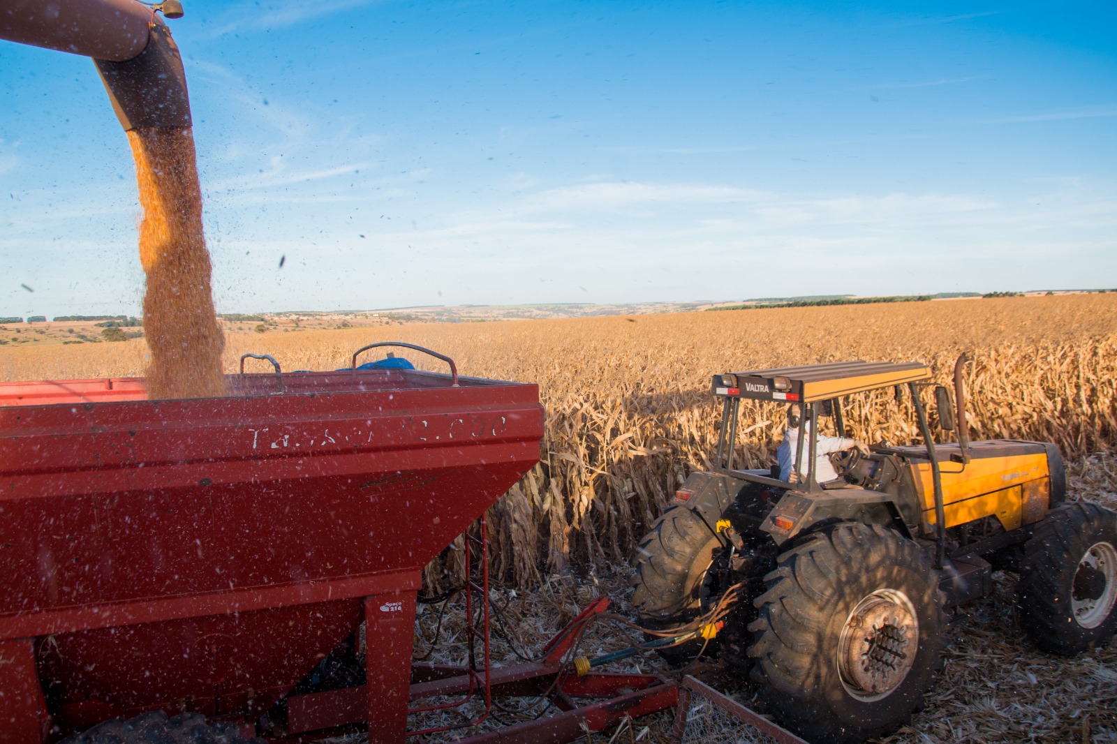 No momento, você está visualizando <em>Agronegócio em Goiás emprega mais de 1 milhão de pessoas em 2023</em>
