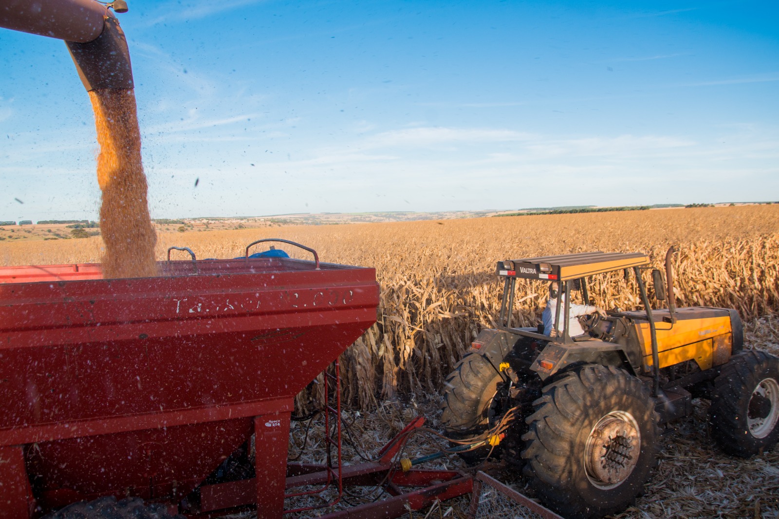 Você está visualizando atualmente <em>Agronegócio em Goiás emprega mais de 1 milhão de pessoas em 2023</em>