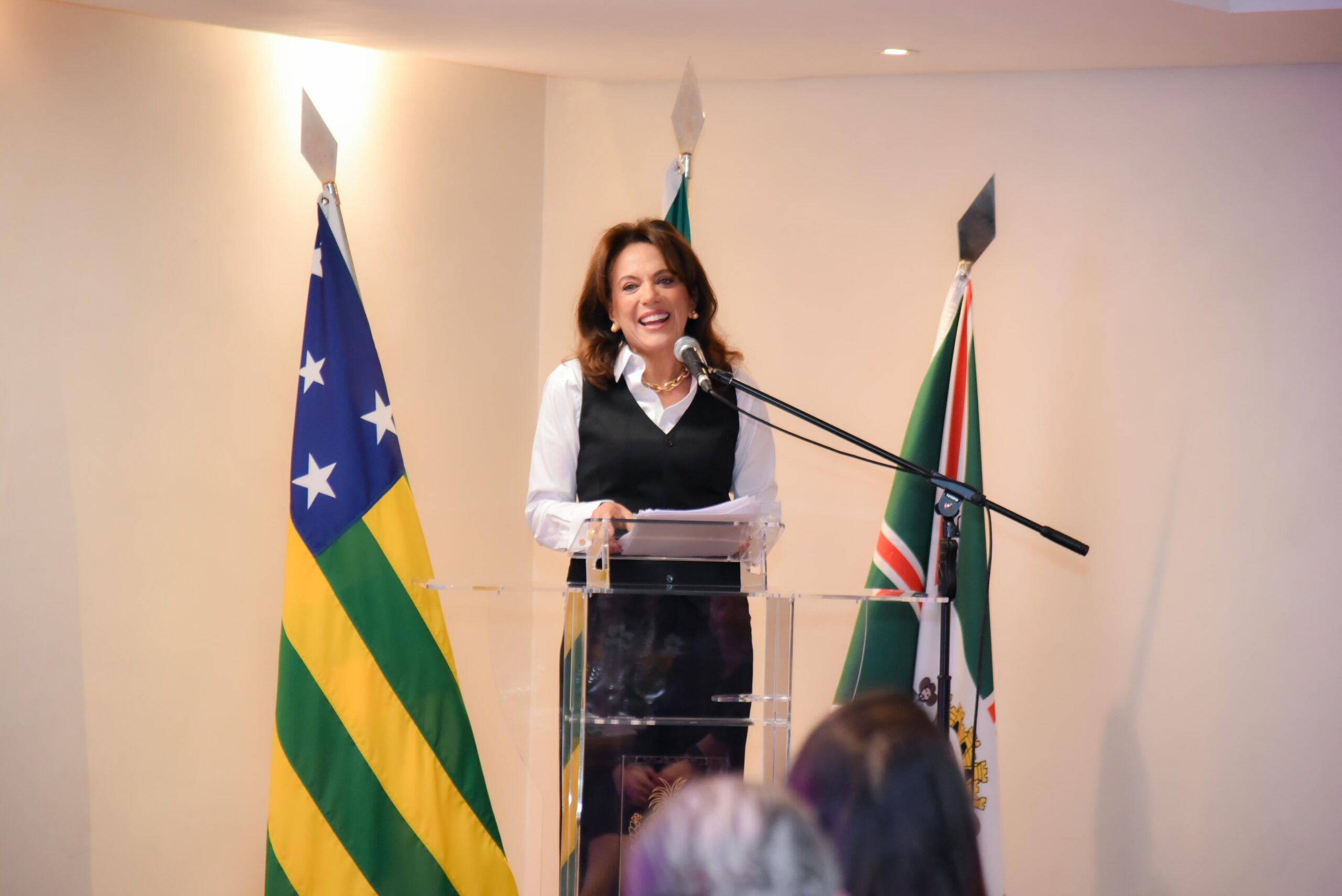 Você está visualizando atualmente Gracinha Caiado apresenta resultados do Goiás Social ao Grupo Lide Mulher e ressalta importância das parcerias