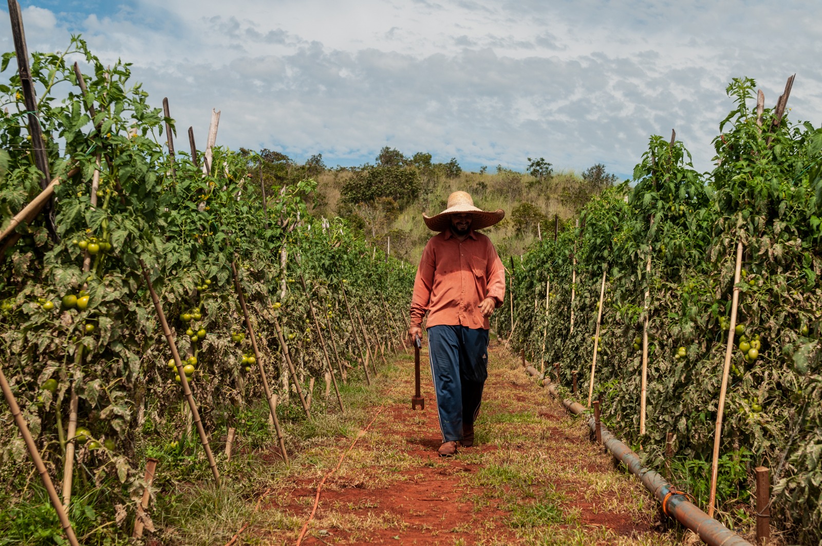 No momento, você está visualizando <em>Dia do Trabalhador: agropecuária goiana gera 6,7 mil empregos em 2024</em>