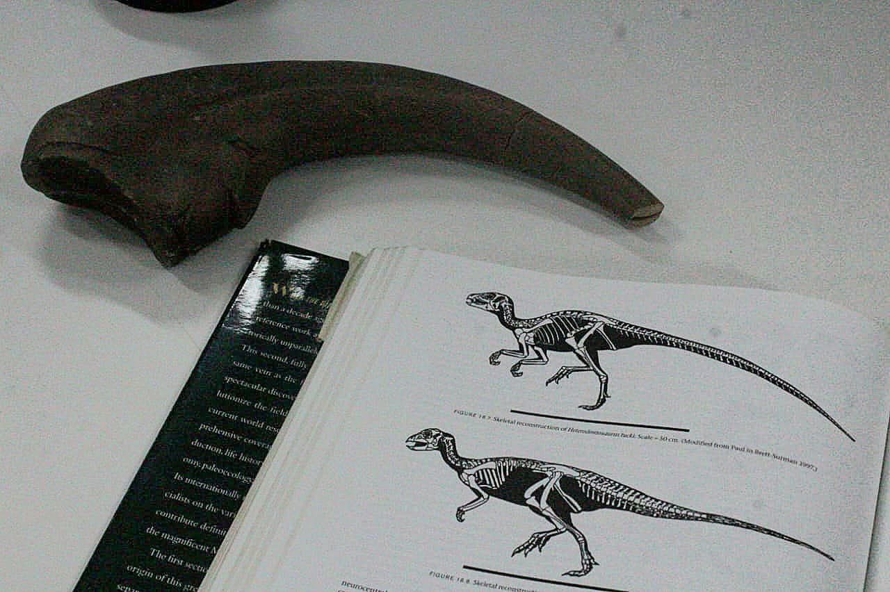 No momento, você está visualizando Segunda edição do Sábado Tem Museu é realizada em Aparecida neste sábado