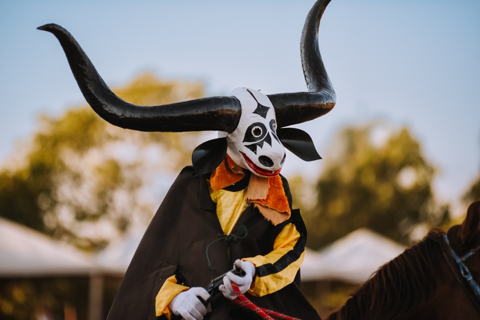 No momento, você está visualizando Circuito das Cavalhadas chega a Santa Terezinha neste fim de semana